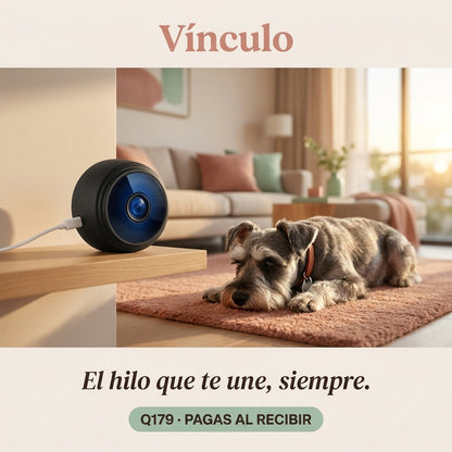 Vínculo — Cámara para tu mascota — vista 11