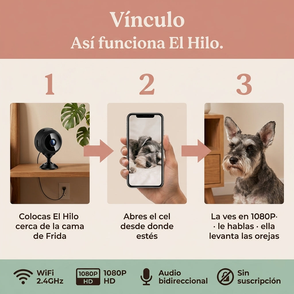 Vínculo — Cámara para tu mascota — vista 4