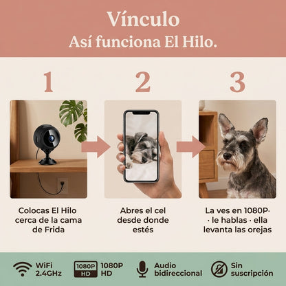 Vínculo — Cámara para tu mascota — vista 4