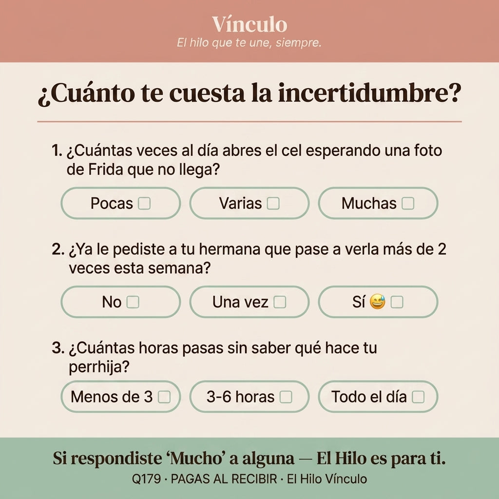 Vínculo — Cámara para tu mascota — vista 9